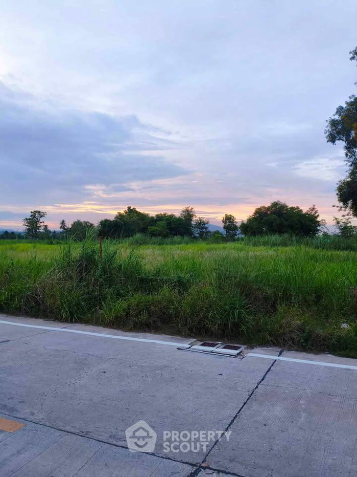 รูป ที่ดินเปล่าขาย หนองขาม ศรีราชา ชลบุรี (ID 3308672) - รูปที่ 4/6