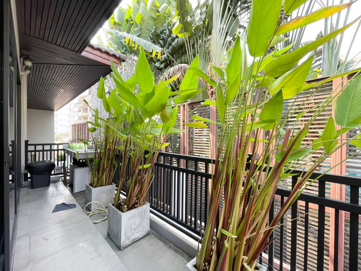 รูป ให้เช่า บ้านเดี่ยว 3 ชั้น ทองหล่อ 25 | ที่ดิน 112 ตร.ว. | พื้นที่ใช้สอย 420 ตร.ม. | 5 ห้องนอน | ใจกลางทองหล่อ - รูปที่ 26/40
