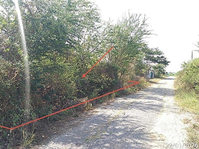 picture LAND 180 Sq.w. Bang Khla Chachoengsao for 900,000 - 5/21