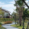 listing thumbnail image 60