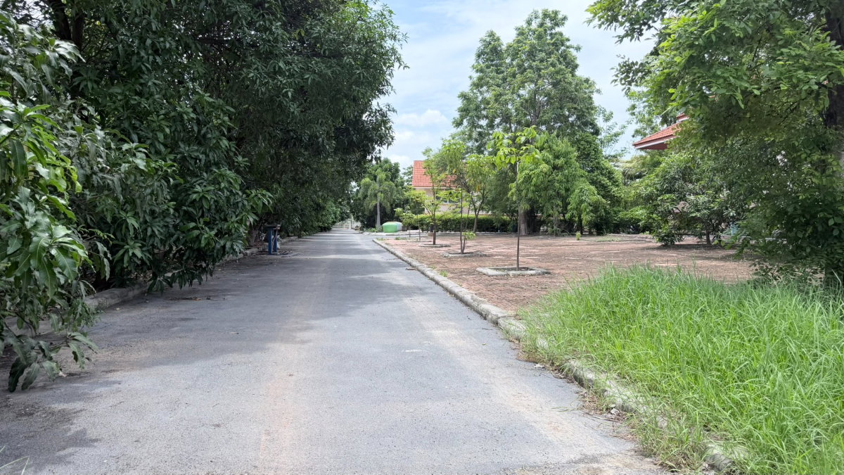 รูป ขายบ้านเดี่ยว 3 หลัง พร้อมที่ดิน 10 ไร่ (ผังสีชมพู) นาดี สมุทรสาคร เหมาะสร้างโรงงาน โกดัง - รูปที่ 31/32