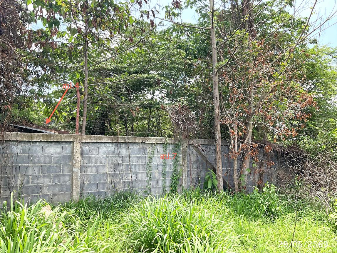 รูป อาคารสำนักงาน 1034 ตร.วา ยางชุมน้อย ศรีสะเกษ 8.6M - รูปที่ 18/25