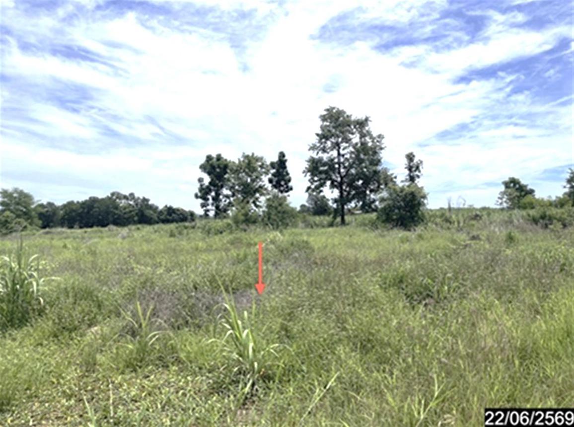 picture LAND 4569 Sq.w. Si Chomphu Khon Kaen for 1.6M - 13/21