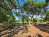 listing thumbnail image 16