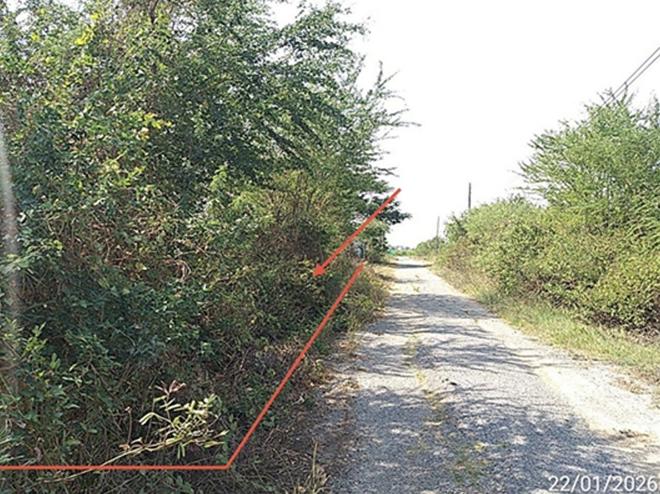 picture LAND 180 Sq.w. Bang Khla Chachoengsao for 900,000 - 6/21