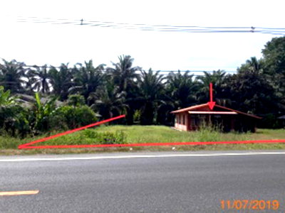 บ้านเดี่ยว กระบี่ : บ้านเดี่ยว 1308.8 ตร.วา คลองท่อม กระบี่ 6.1M