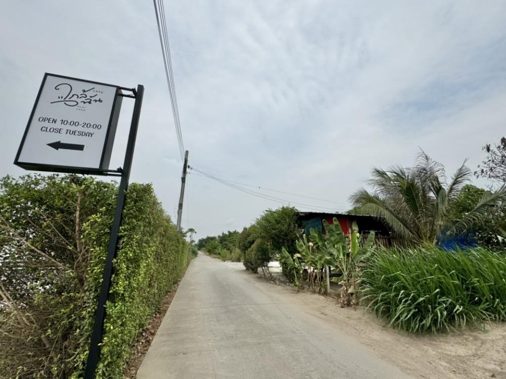 รูป ที่ดิน วิวทุ่งนา ถนนบ้านกล้วย-ไทรน้อย ซอยนาทอง 200 ตรว. ถมแล้ว เข้าซอยแค่ 200 เมตร เหมาะปลูกบ้านสวนเกษตร - รูปที่ 8/9