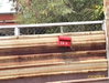 listing thumbnail image 12