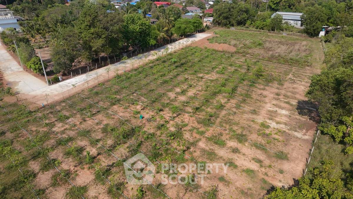 รูป ที่ดินสำหรับขายในหนองปลาไหล พัทยา ชลบุรี (ID 3315865) - รูปที่ 4/7
