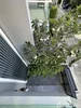 listing thumbnail image 23
