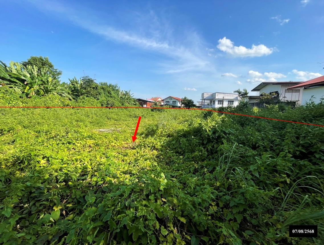 รูป ที่ดินว่างเปล่า 499.3 ตร.วา เมืองสกลนคร สกลนคร 24.8M - รูปที่ 14/21