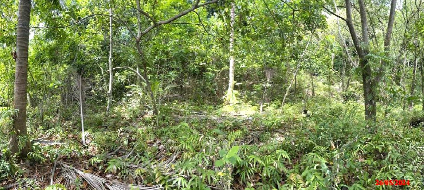 รูป ที่ดินว่างเปล่า 6417.1 ตร.วา เมืองภูเก็ต ภูเก็ต 109M - รูปที่ 13/19