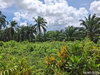 listing thumbnail image 14