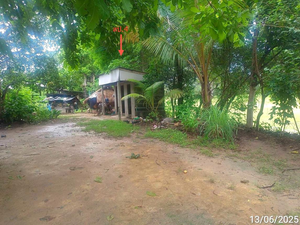 picture HOME 1931 Sq.w. Khuang Nai Ubon Ratchathani for 1.7M - 12/21