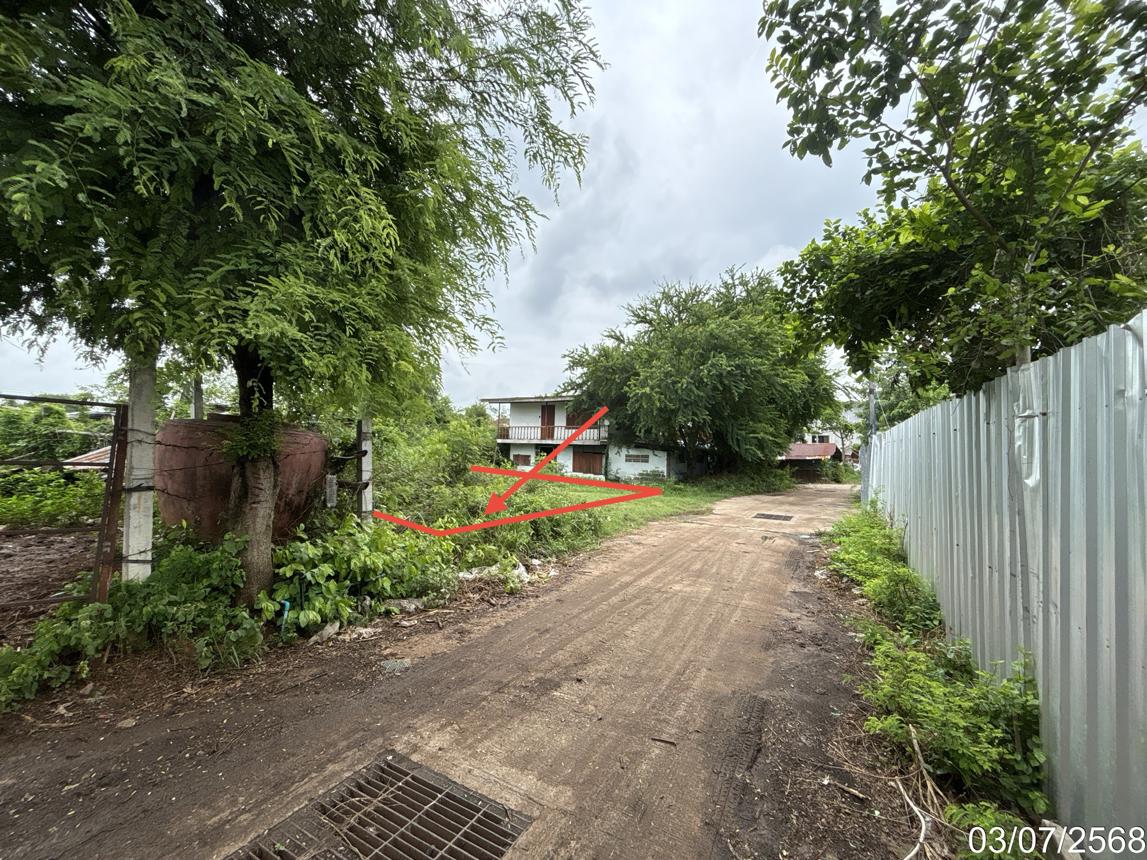 picture LAND 81 Sq.w. Khok Samrong Lopburi for 300,000 - 14/19