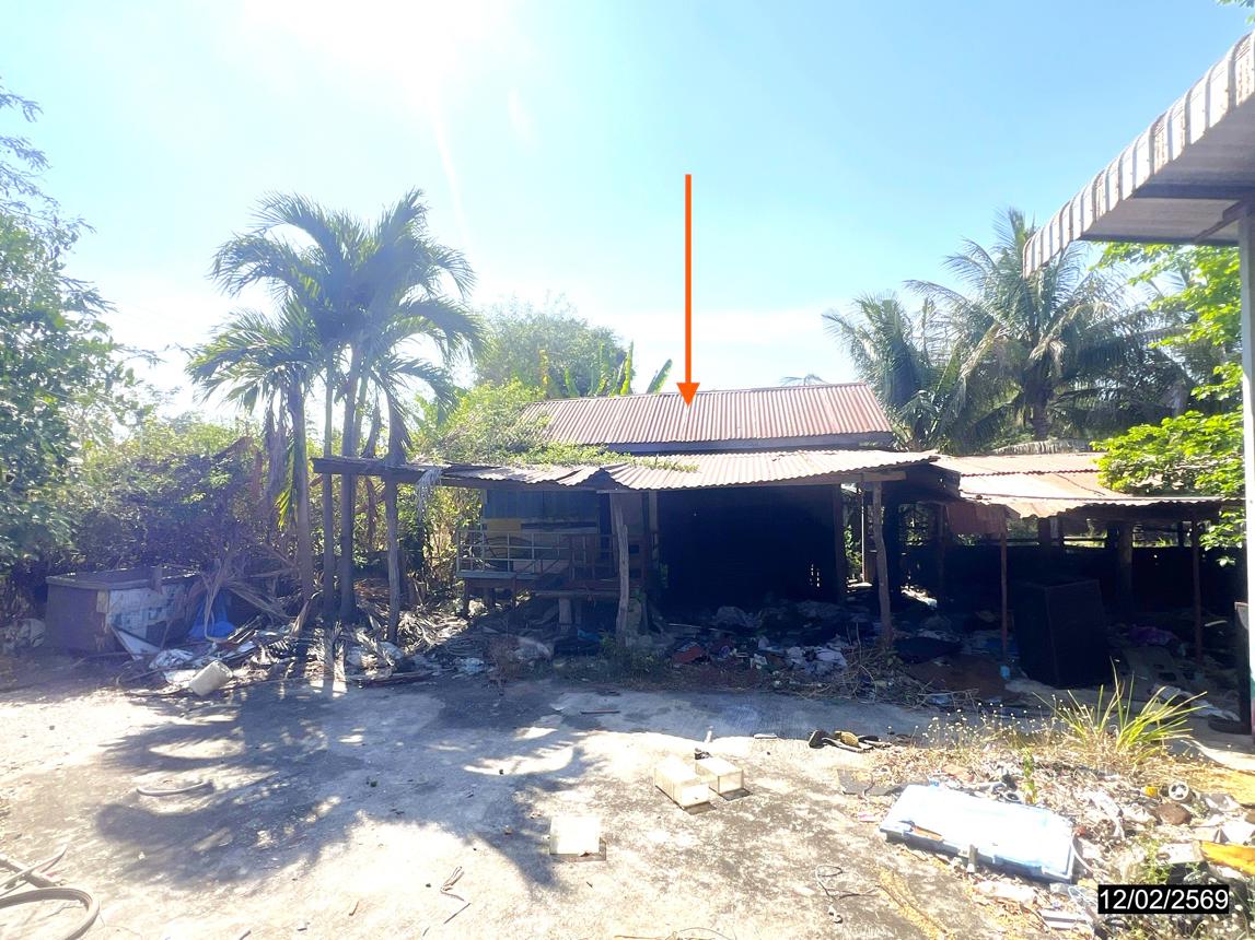 รูป บ้านเดี่ยว 830 ตร.วา บำเหน็จณรงค์ ชัยภูมิ 1.9M - รูปที่ 28/37