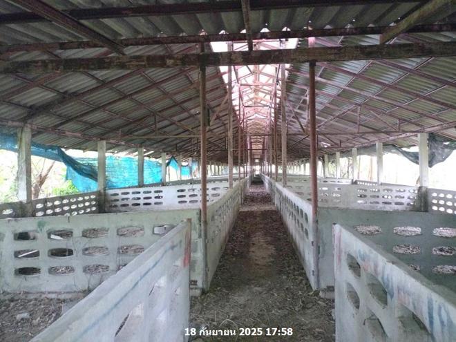 รูป ฟาร์ม 27277 ตร.วา พระพุทธบาท สระบุรี 17.6M - รูปที่ 19/43