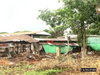 listing thumbnail image 21