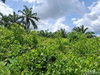 listing thumbnail image 18