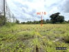 listing thumbnail image 63