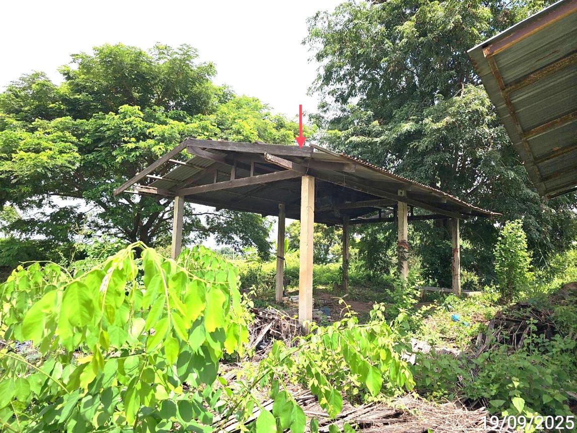 รูป บ้านเดี่ยว 2774.6 ตร.วา พรหมพิราม พิษณุโลก 2.6M - รูปที่ 40/49