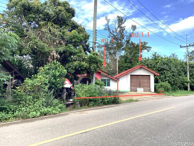 รูป บ้านเดี่ยว 85 ตร.วา สะเดา สงขลา 1.7M - รูปที่ 2/15