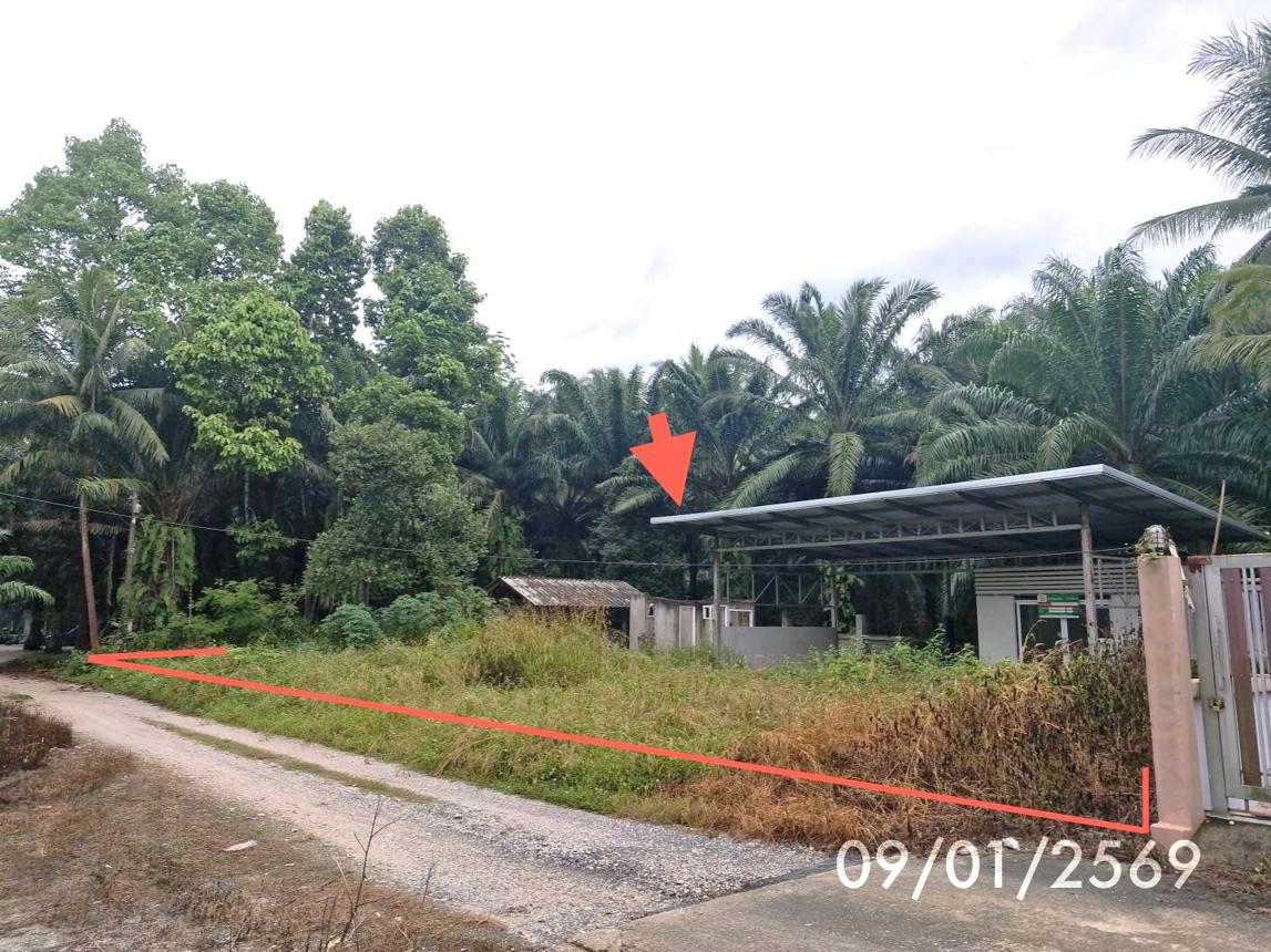 picture FACTORY 174 Sq.w. Khanom Nakhon Sri Thammarat for 737,000 - 10/21
