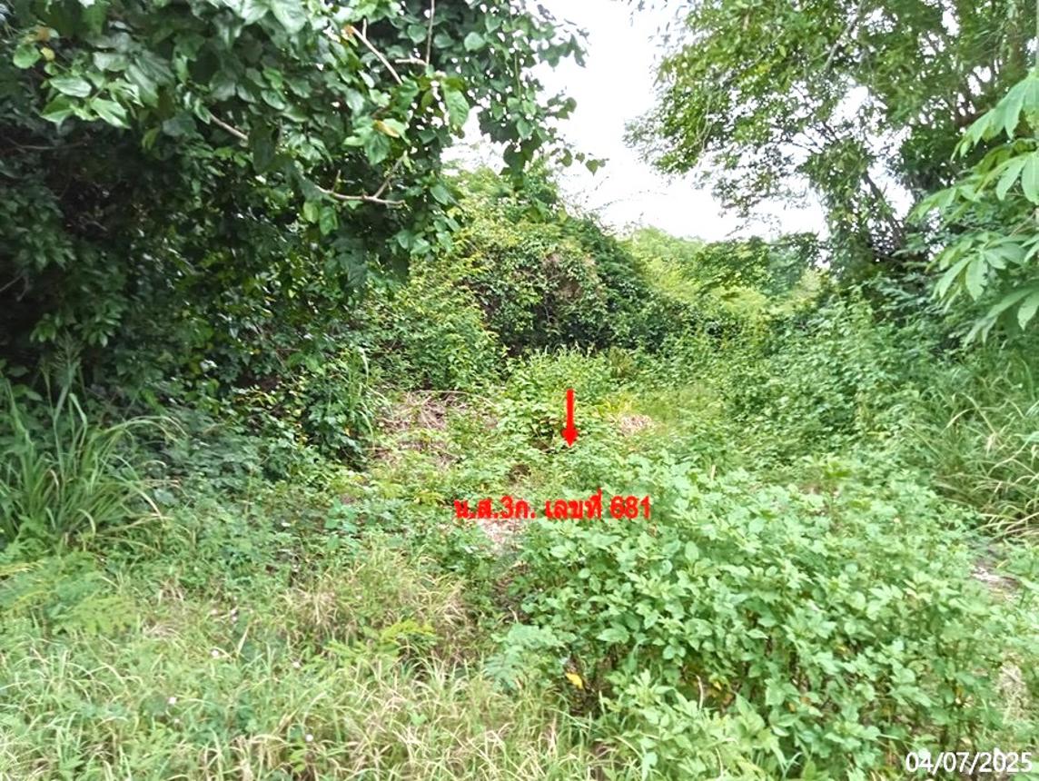 picture LAND 200 Sq.w. Pak Chong Nakhon Ratchasima for 3.6M - 13/17