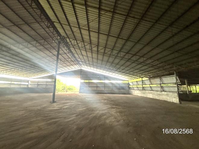 รูป อาคารโรงงาน 2362 ตร.วา เฉลิมพระเกียรติ นครราชสีมา 9.7M - รูปที่ 8/41