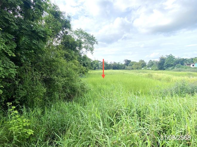 picture LAND 791.6 Sq.w. Muang Maha Sarakham Maha Sarakham for 4.9M - 6/17