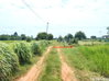 listing thumbnail image 13