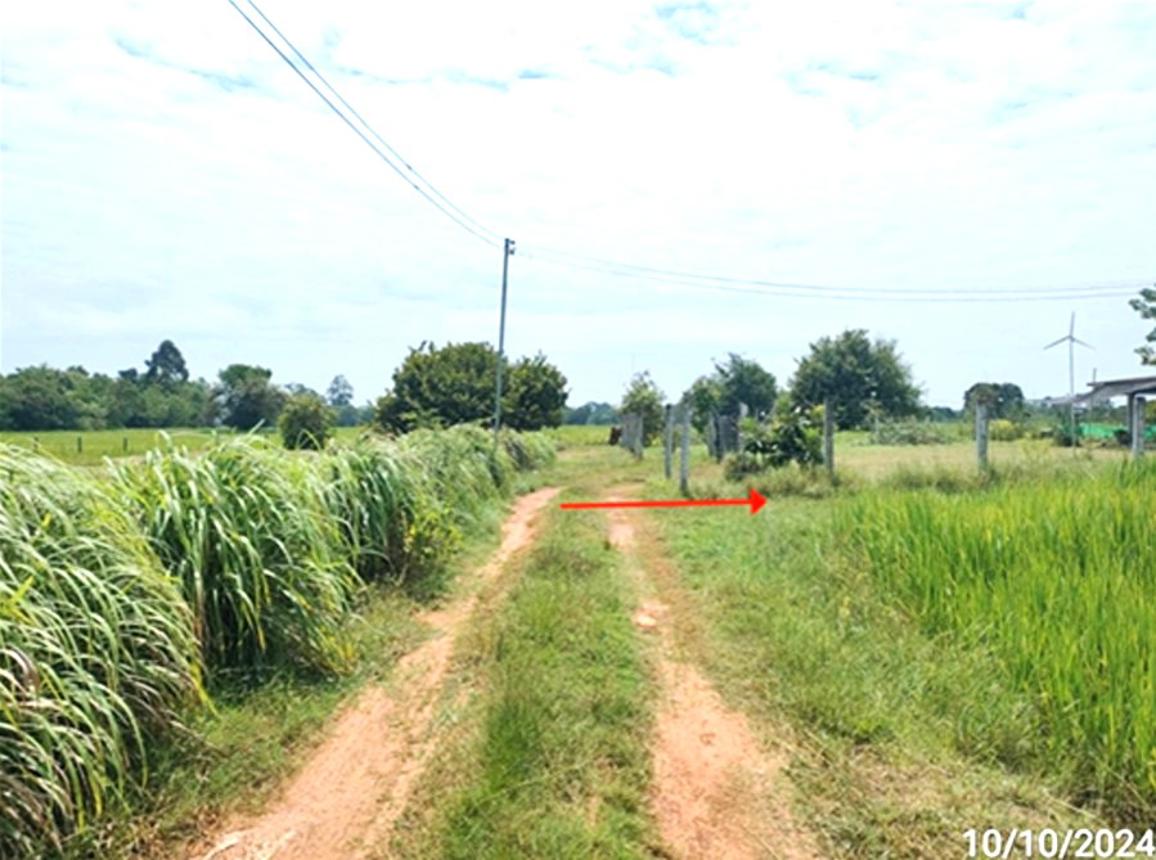 รูป ที่ดินว่างเปล่า 195.4 ตร.วา เมืองร้อยเอ็ด ร้อยเอ็ด 587,000 - รูปที่ 14/19