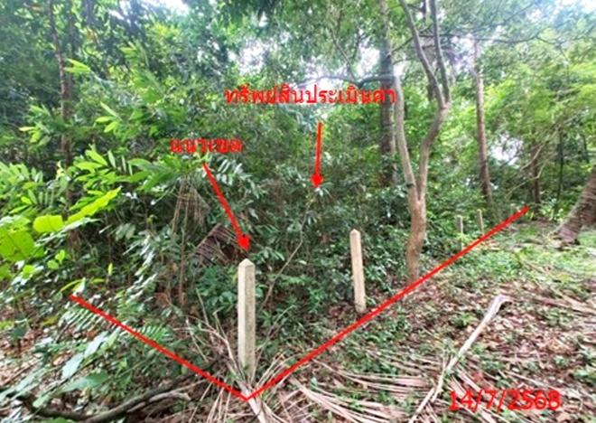 รูป ที่ดินว่างเปล่า 1708 ตร.วา เกาะสมุย สุราษฎร์ธานี 12.7M - รูปที่ 7/17