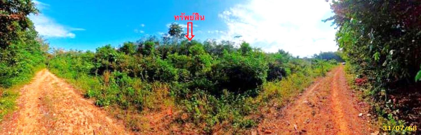 picture LAND 1539 Sq.w. Mae Lan Pattani for 1.4M - 14/19
