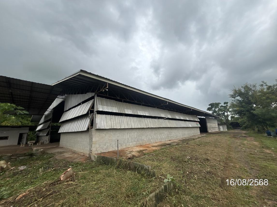 รูป อาคารโรงงาน 2362 ตร.วา เฉลิมพระเกียรติ นครราชสีมา 9.7M - รูปที่ 23/41