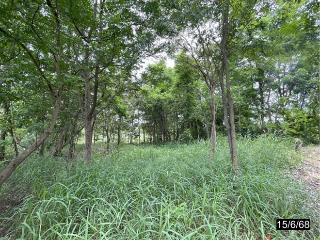 picture LAND 2000 Sq.w. Muang Khon Kaen Khon Kaen for 3M - 8/25