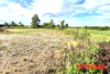 listing thumbnail image 29
