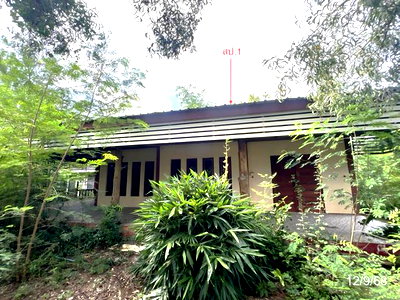 Houses for sale Nakhon Sawan : HOME 446 Sq.w. Tha Tako Nakhon Sawan for 1.4M