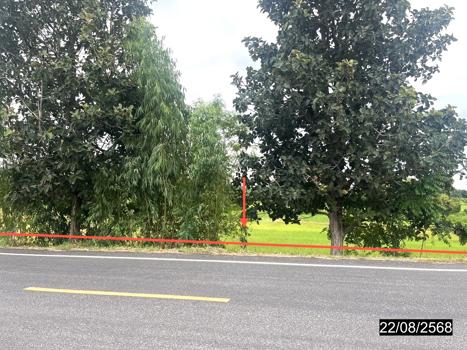 picture LAND 4242 Sq.w. Yang Si Surat Maha Sarakham for 2.8M - 16/19