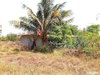 listing thumbnail image 12