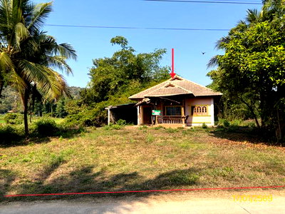บ้านเดี่ยว พรหมพิราม พิษณุโลก : บ้านเดี่ยว 667 ตร.วา พรหมพิราม พิษณุโลก 1.1M