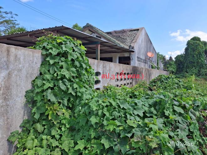 รูป บ้านเดี่ยว 132.4 ตร.วา นาโยง ตรัง 2.4M - รูปที่ 21/45
