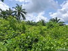 listing thumbnail image 8