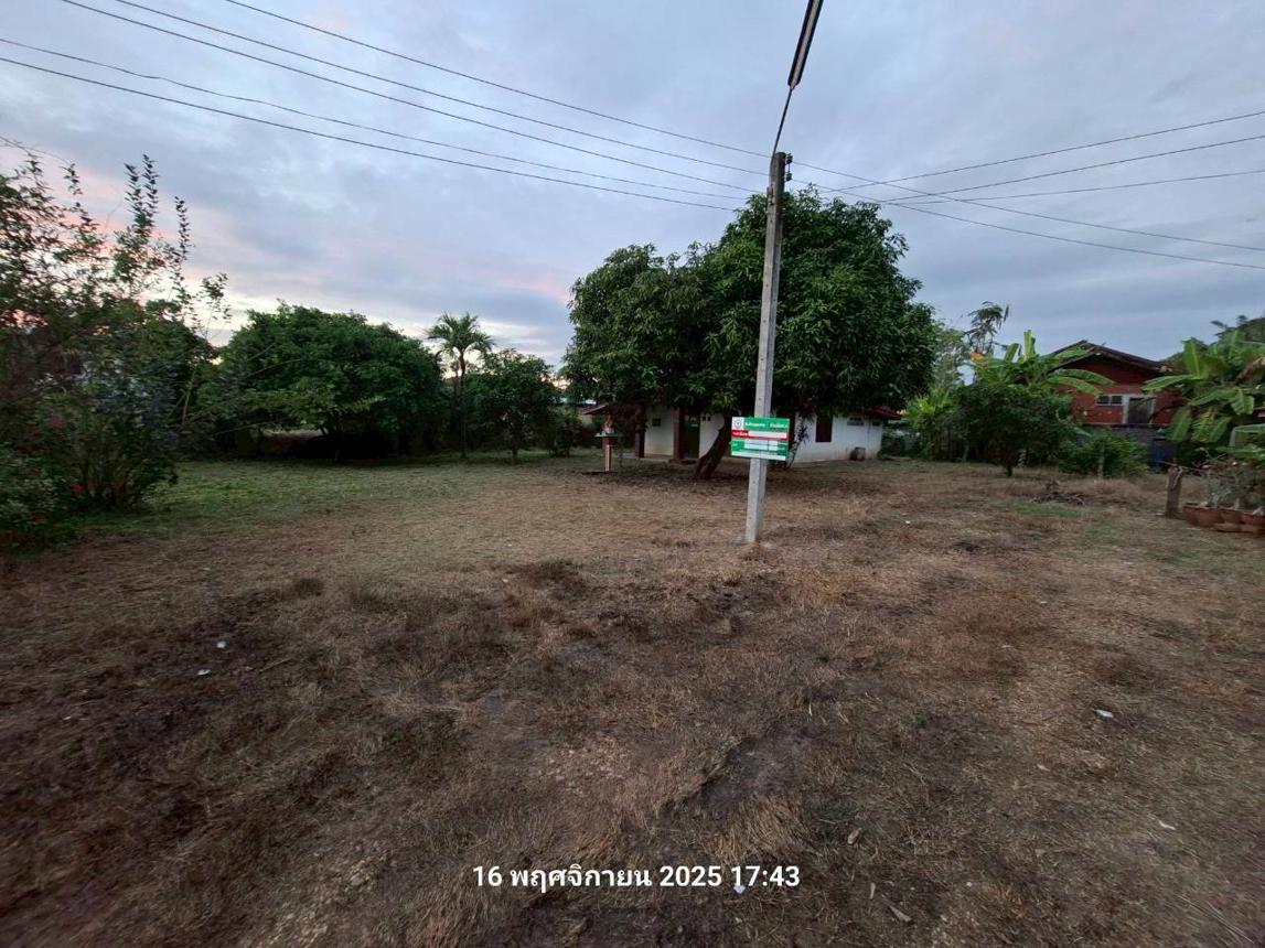 รูป บ้านเดี่ยว 175 ตร.วา หนองไผ่ เพชรบูรณ์ 577,000 - รูปที่ 29/33