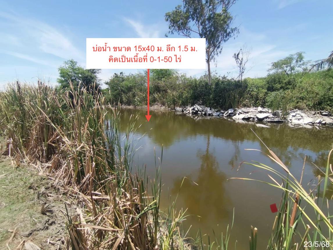 รูป ที่ดินว่างเปล่า 1800 ตร.วา เมืองเพชรบุรี เพชรบุรี 1.3M - รูปที่ 16/25