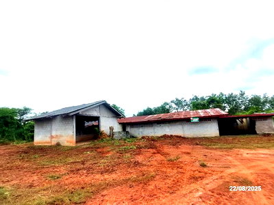 บ้านเดี่ยว อุดรธานี : บ้านเดี่ยว 7454 ตร.วา กุมภวาปี อุดรธานี 2.7M