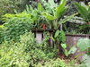 listing thumbnail image 64