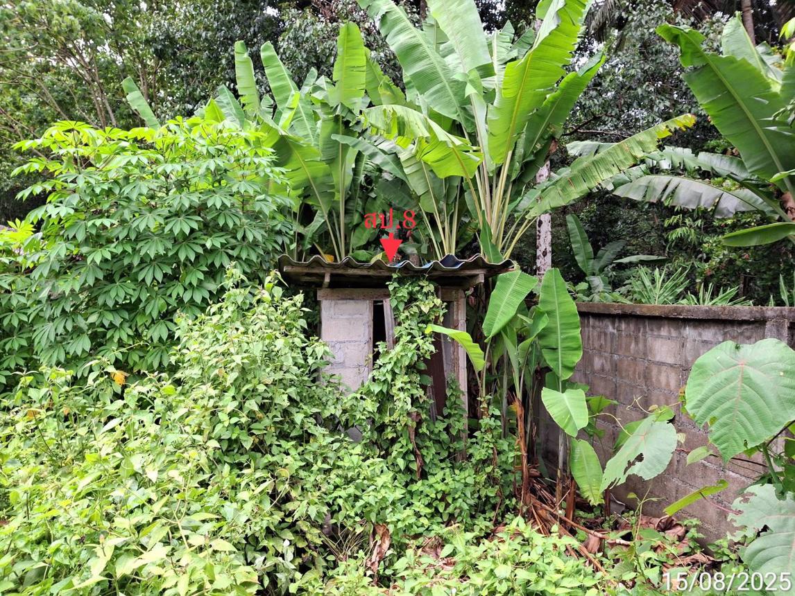 picture HOME 869 Sq.w. Na Yong Trang for 5.2M - 65/73