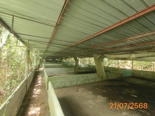 picture HOME 4455.3 Sq.w. Takua Thung Phangnga for 3.8M - 9/43