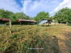 listing thumbnail image 29
